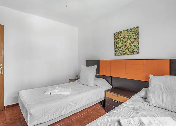 Apto Veracruz アパート *